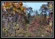 Tract 1 - Huston Hills property photo