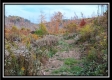 More of Tract 1 - Huston Hills