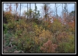 Tract 1 - Huston Hills property photo