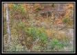 Tract 1 - Huston Hills property photo