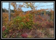 Tract 1 - Huston Hills property photo