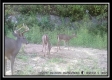 Tract 1 - Huston Hills property photo