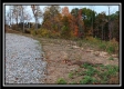 Tract 1 - Huston Hills property photo