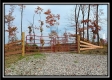 Tract 1 - Huston Hills property photo