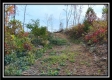 More of Tract 1 - Huston Hills