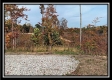 More of Tract 1 - Huston Hills