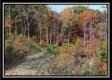 Tract 1 - Huston Hills property photo
