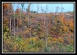 Tract 1 - Huston Hills property photo
