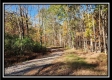Timber View Cabin at Winner Lane property photo