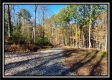 Timber View Cabin at Winner Lane property photo