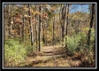Timber View Cabin at Winner Lane property photo