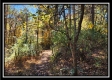 Timber View Cabin at Winner Lane property photo
