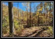 Timber View Cabin at Winner Lane property photo