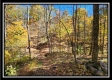 Timber View Cabin at Winner Lane property photo