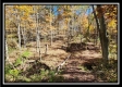 Timber View Cabin at Winner Lane property photo
