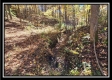 Timber View Cabin at Winner Lane property photo