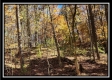 Timber View Cabin at Winner Lane property photo