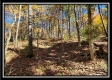 Timber View Cabin at Winner Lane property photo