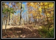 Timber View Cabin at Winner Lane property photo
