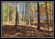 Timber View Cabin at Winner Lane property photo