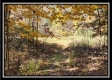 Timber View Cabin at Winner Lane property photo