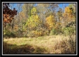 Timber View Cabin at Winner Lane property photo