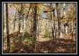 Timber View Cabin at Winner Lane property photo