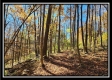 Timber View Cabin at Winner Lane property photo
