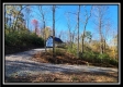 More of Timber View Cabin at Winner Lane