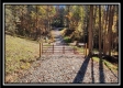 Timber View Cabin at Winner Lane property photo