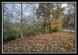 1612 Possum Trot Rd property photo