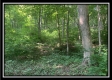 Tract 3 - The Woods at Potts Hill property photo