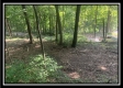 Tract 3 - The Woods at Potts Hill property photo