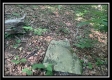 Tract 3 - The Woods at Potts Hill property photo
