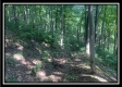 Tract 3 - The Woods at Potts Hill property photo