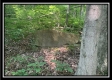 Tract 3 - The Woods at Potts Hill property photo