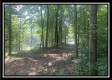 Tract 3 - The Woods at Potts Hill property photo