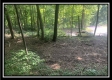 Tract 3 - The Woods at Potts Hill property photo