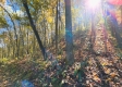 Tract 6 - The Woods at Blue Creek property photo