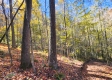Tract 6 - The Woods at Blue Creek property photo