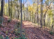 Tract 6 - The Woods at Blue Creek property photo