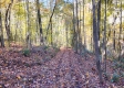Tract 6 - The Woods at Blue Creek property photo