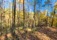 Tract 6 - The Woods at Blue Creek property photo