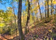 Tract 6 - The Woods at Blue Creek property photo
