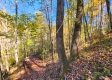 Tract 6 - The Woods at Blue Creek property photo