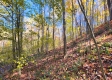 Tract 6 - The Woods at Blue Creek property photo