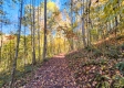 Tract 6 - The Woods at Blue Creek property photo