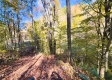 Tract 6 - The Woods at Blue Creek property photo