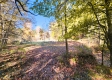 Tract 6 - The Woods at Blue Creek property photo
