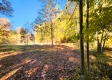 Tract 6 - The Woods at Blue Creek property photo